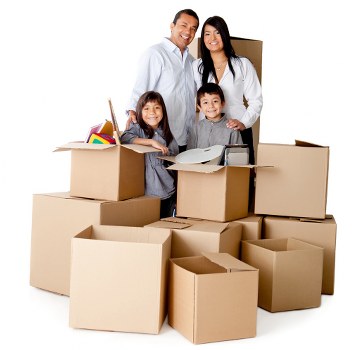 Liability and insurance terms for transport services