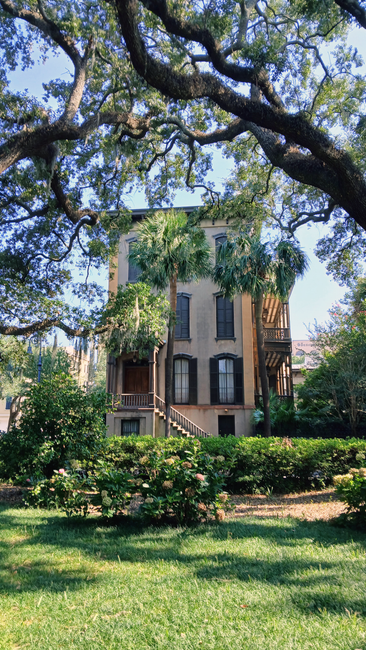The image depicts the exterior of a multi-storey residential building, seen through the branches of a large, leafy tree with thick, twisting branches and dense green foliage. The building has a beige facade with four visible floors, each featuring tall, narrow windows with black frames and decorative lintels. A wooden staircase with handrails is attached to the side of the building, providing access to the upper floors. In front of the building, there is a well-maintained garden area with lush grass, flowering shrubs, and a few small trees, creating a tidy and green environment. The overall scene is illuminated by natural daylight, suggesting a clear and sunny day. This setting could relate to house removals and relocation services, such as those offered by Man with Van Old Oak Common, especially concerning handling furniture transport and packing during home moves conducted in rural or urban residential areas.