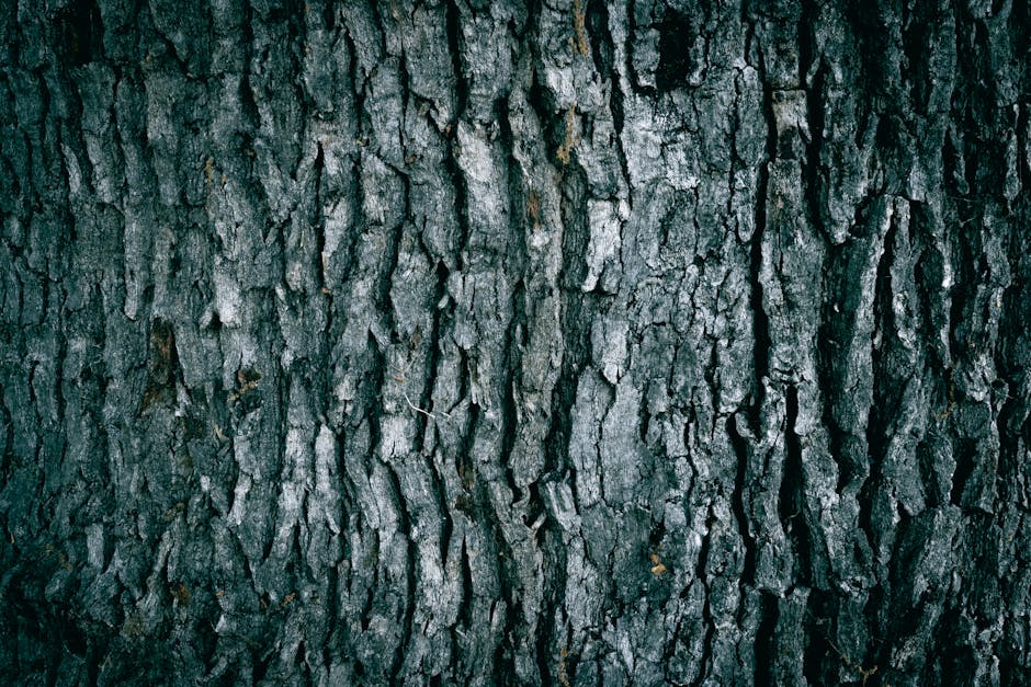 Close-up of the textured bark of a mature tree, displaying rugged, dark grey and brown layers with deep vertical ridges and cracks. The bark appears thick and weathered, with some small patches of lichen or moss. The natural surface of the tree trunk occupies the entire frame, with no other objects or background elements visible, emphasizing the detailed pattern and roughness characteristic of aged tree bark, which could be associated with outdoor surroundings where house removals and relocation services might take place.