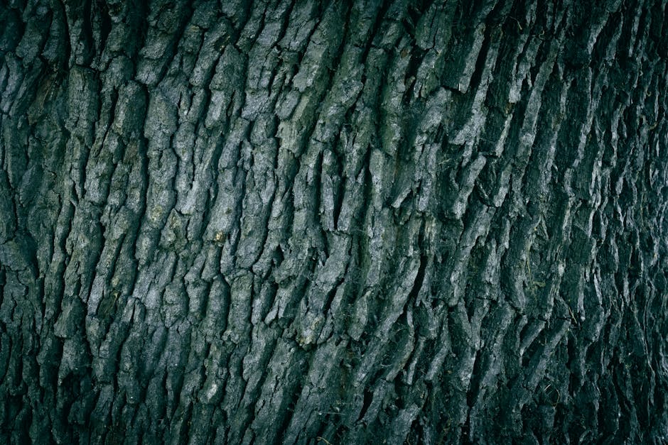 Close-up of the textured bark of a mature tree, displaying rugged, dark grey and brown layers with deep vertical ridges and cracks. The bark appears thick and weathered, with some small patches of lichen or moss. The natural surface of the tree trunk occupies the entire frame, with no other objects or background elements visible, emphasizing the detailed pattern and roughness characteristic of aged tree bark, which could be associated with outdoor surroundings where house removals and relocation services might take place.